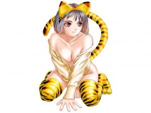 Animaux